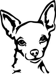 Chihuahua clipart head, Chihuahua head Transparent FREE for download on