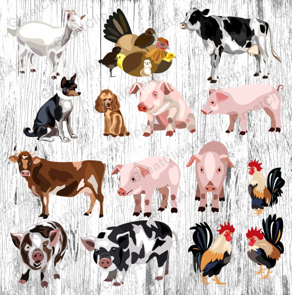  farm animals kids. Chihuahua clipart kid mexican