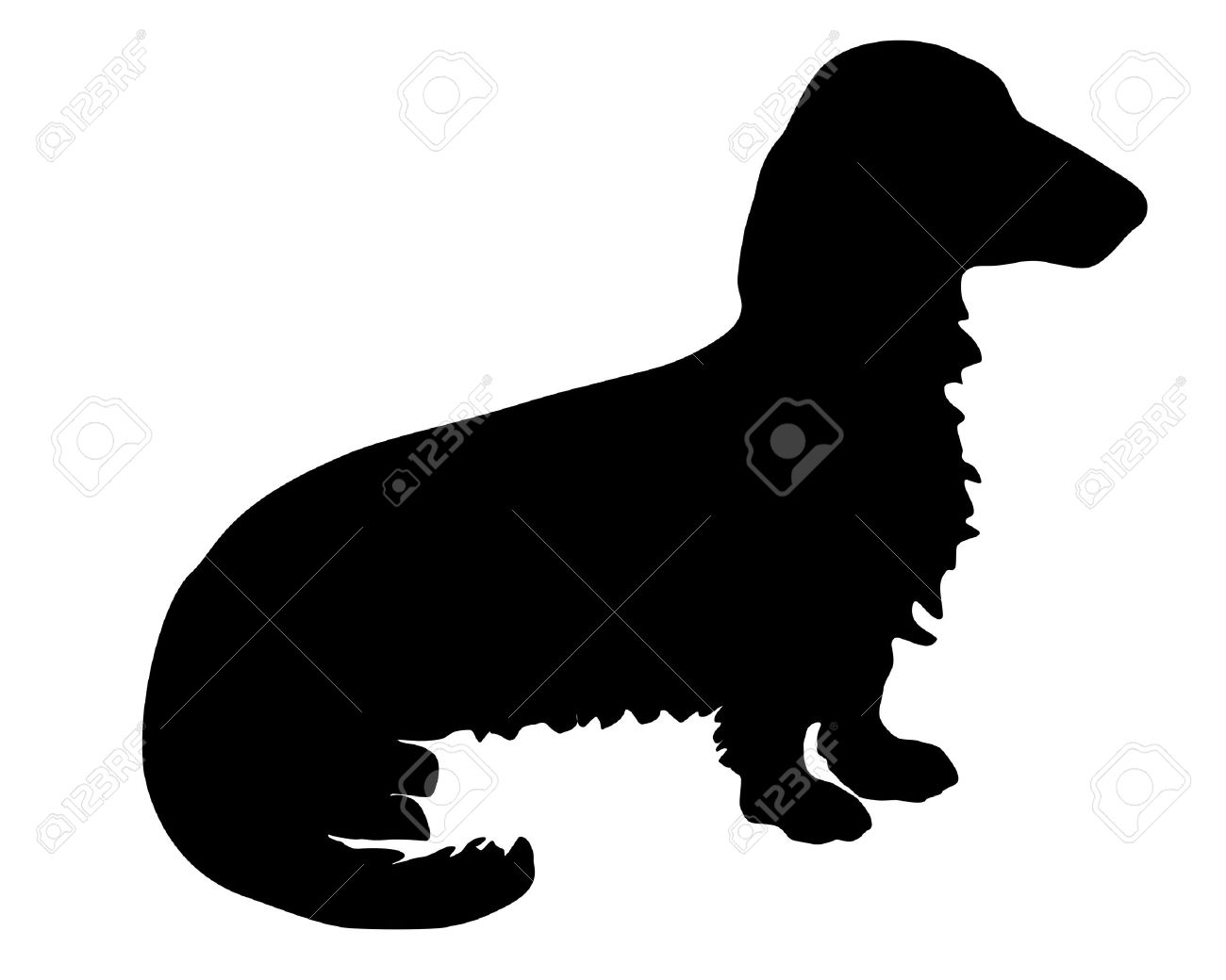 chihuahua clipart long haired