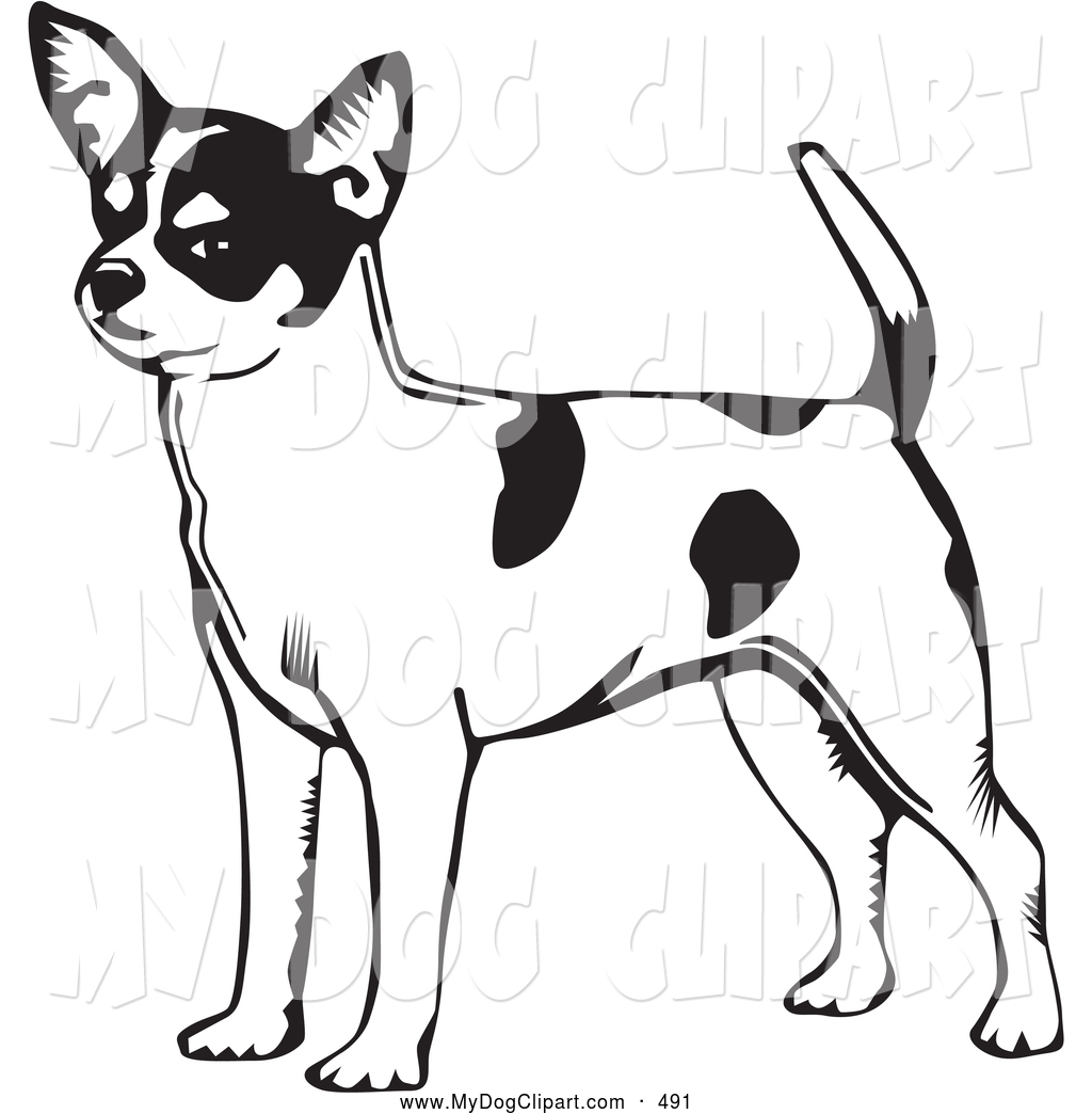 Clip art of a. Chihuahua clipart short dog