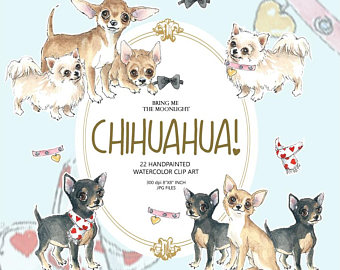 chihuahua clipart side view