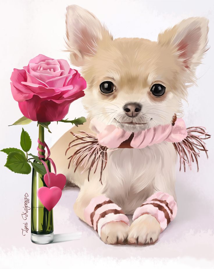 chihuahua clipart side view