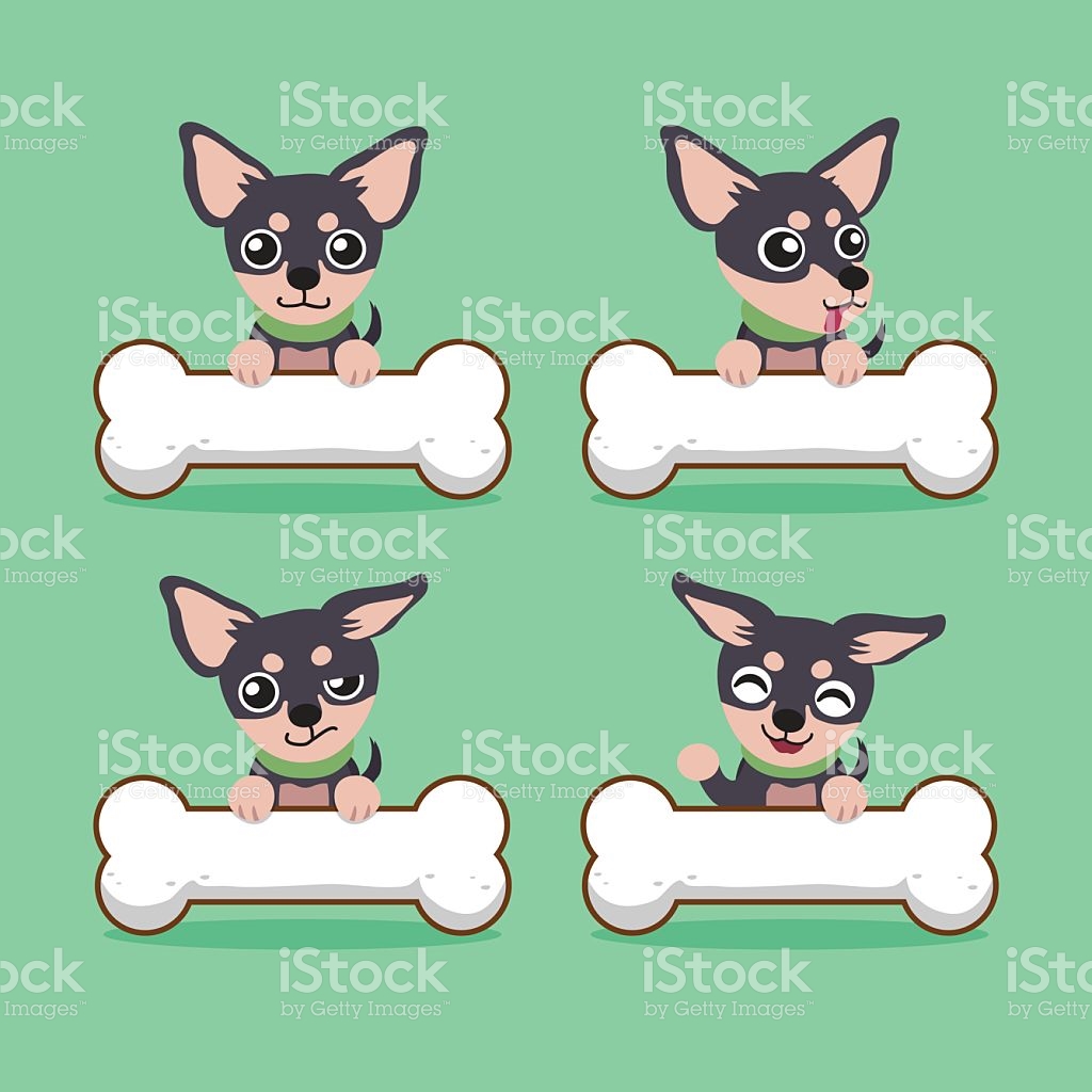 Celebrity pencil and in. Chihuahua clipart vector
