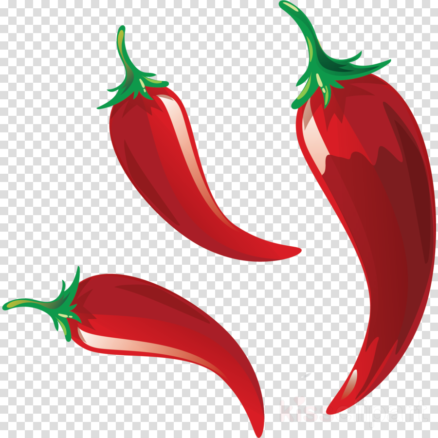 Chili Vector Png Png Image Collection - vrogue.co