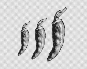 Chili clipart printable. Etsy peppers illustration chilis