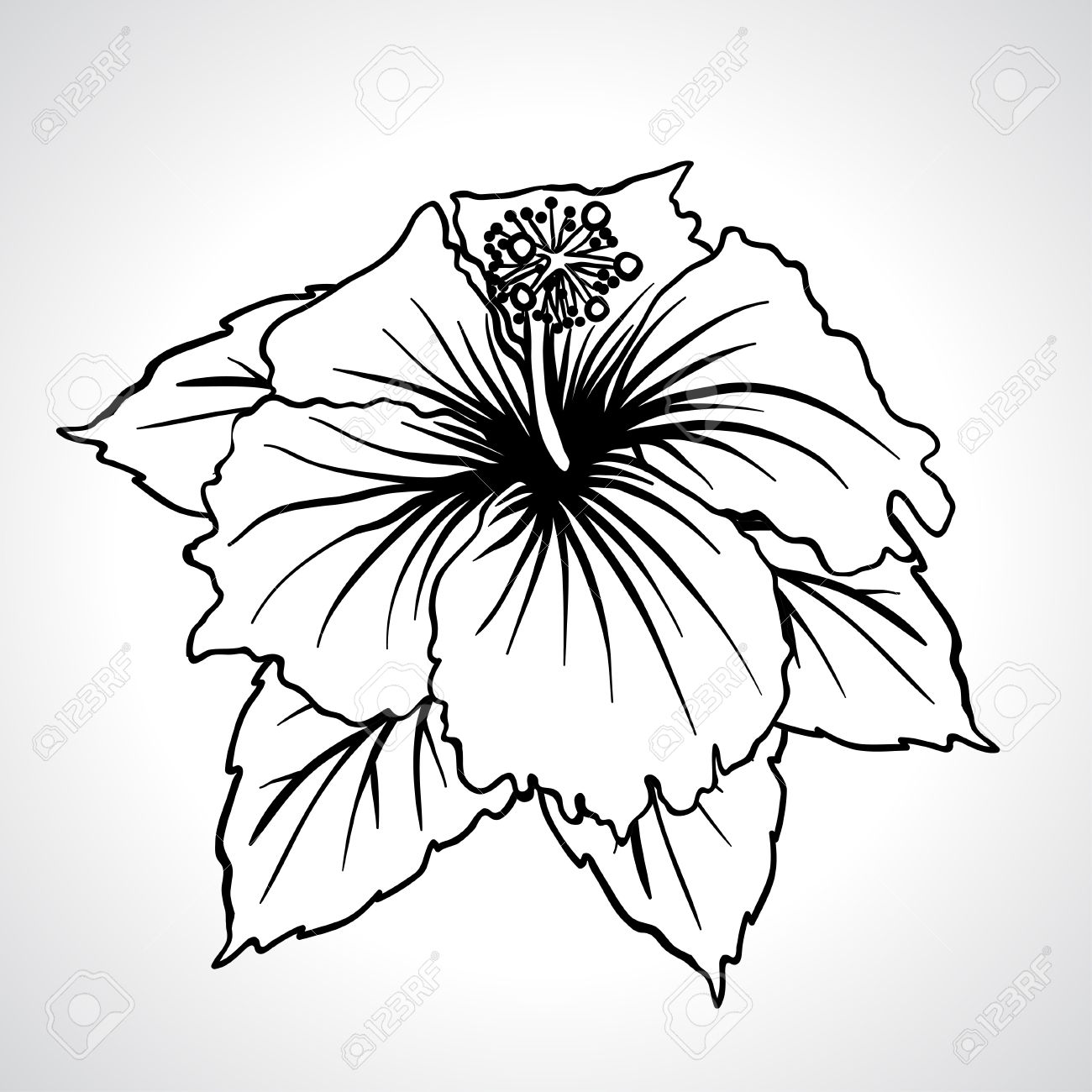 Chinese flower at getdrawings. China clipart drawing