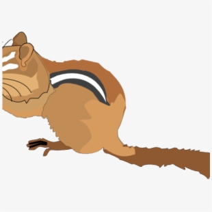 Very fat flying squirrel. Chipmunk clipart brown