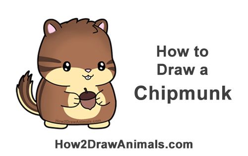 chipmunk clipart draw