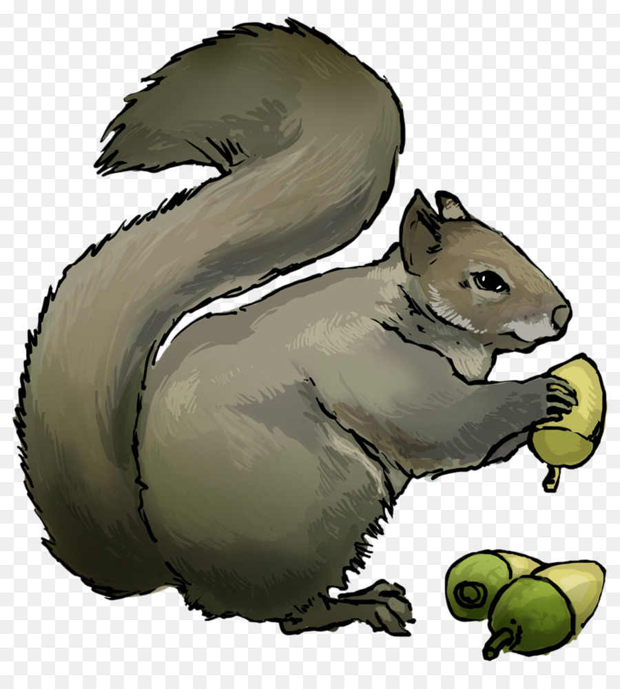 Chipmunk grey squirrel