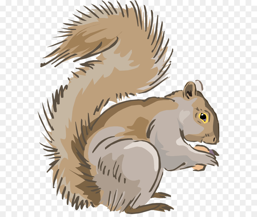 chipmunk clipart grey squirrel