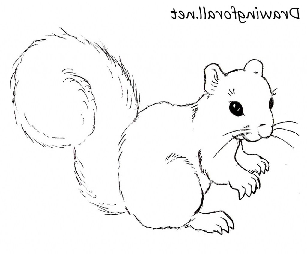 Chipmunk clipart simple. Squirrel drawing easy at