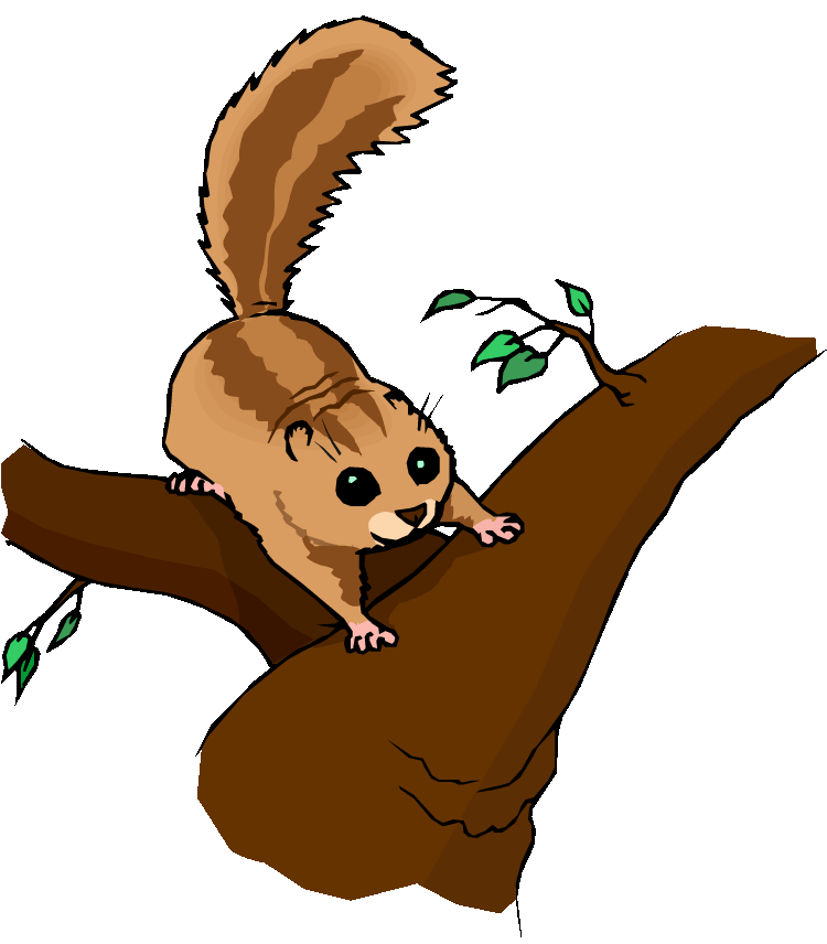 Free chipmunk . Clipart squirrel branch clipart