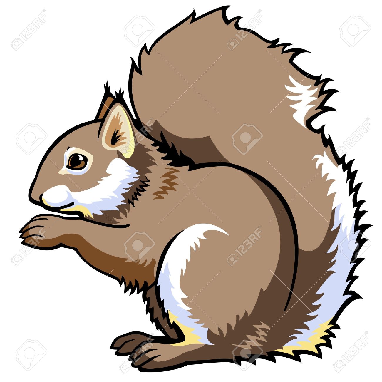 chipmunk clipart squirrel