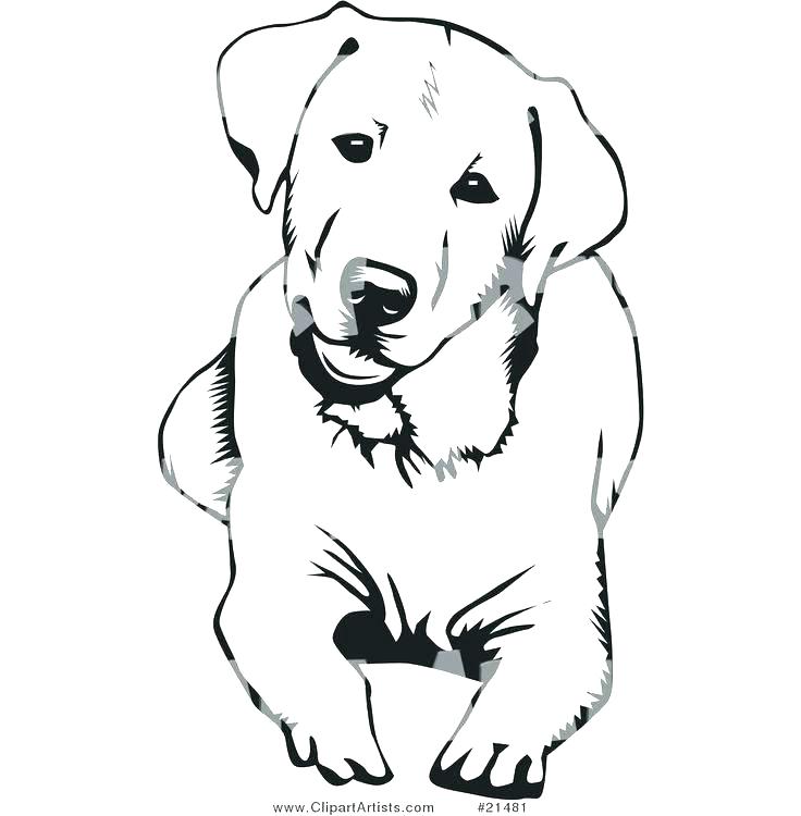 Chocolate clipart dog. Retriever coloring pages short