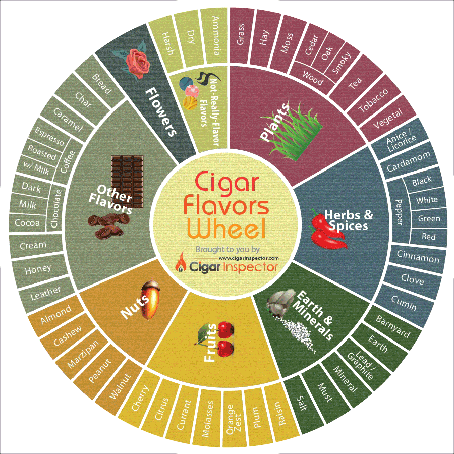 Cigar clipart cigar whiskey. Aroma kit or aromas