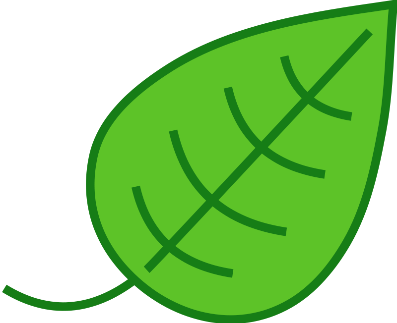 outline clipart leaf