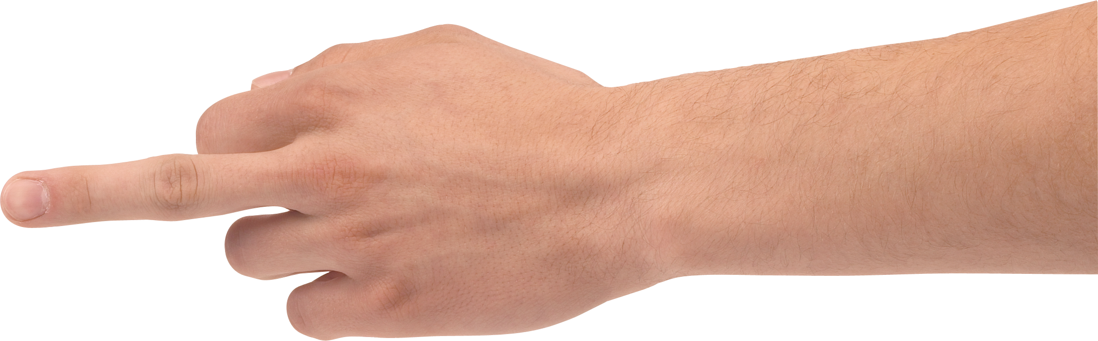 clipart hand forearm