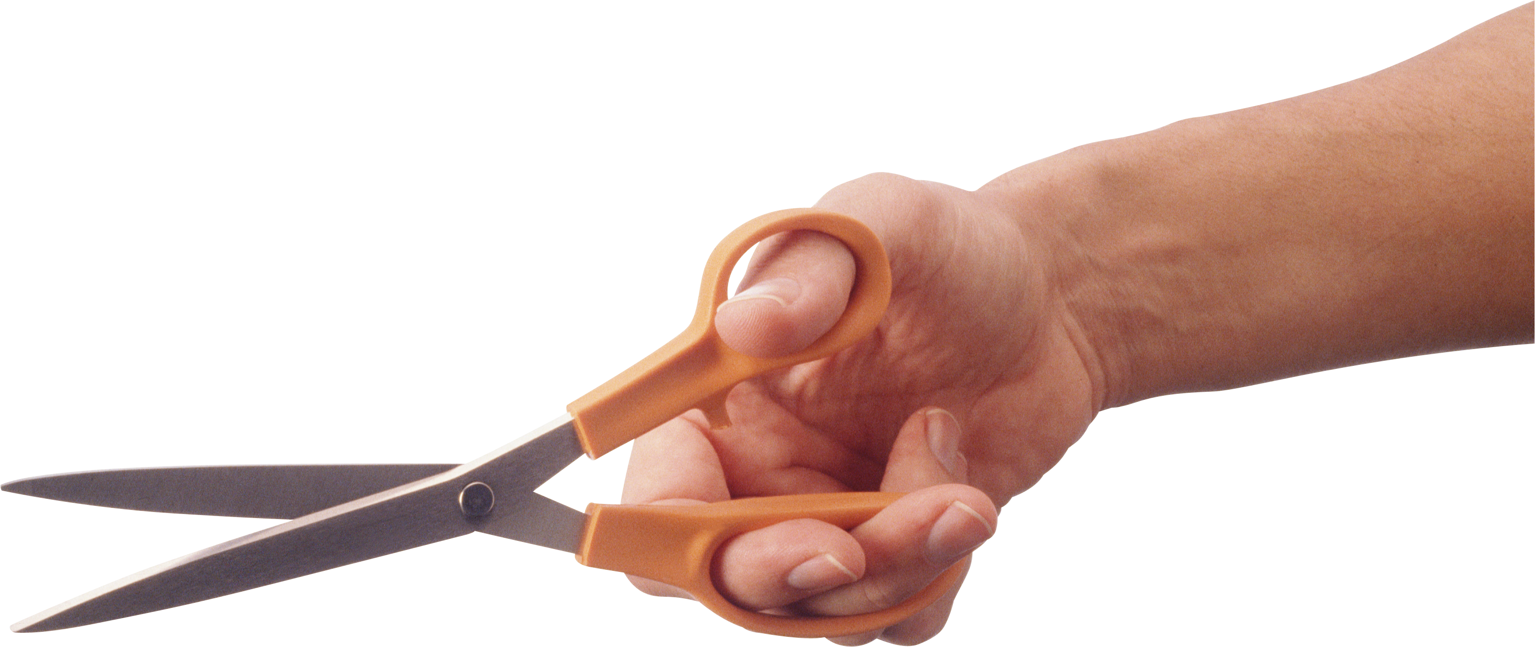 Holding one isolated stock. Hand clipart scissors