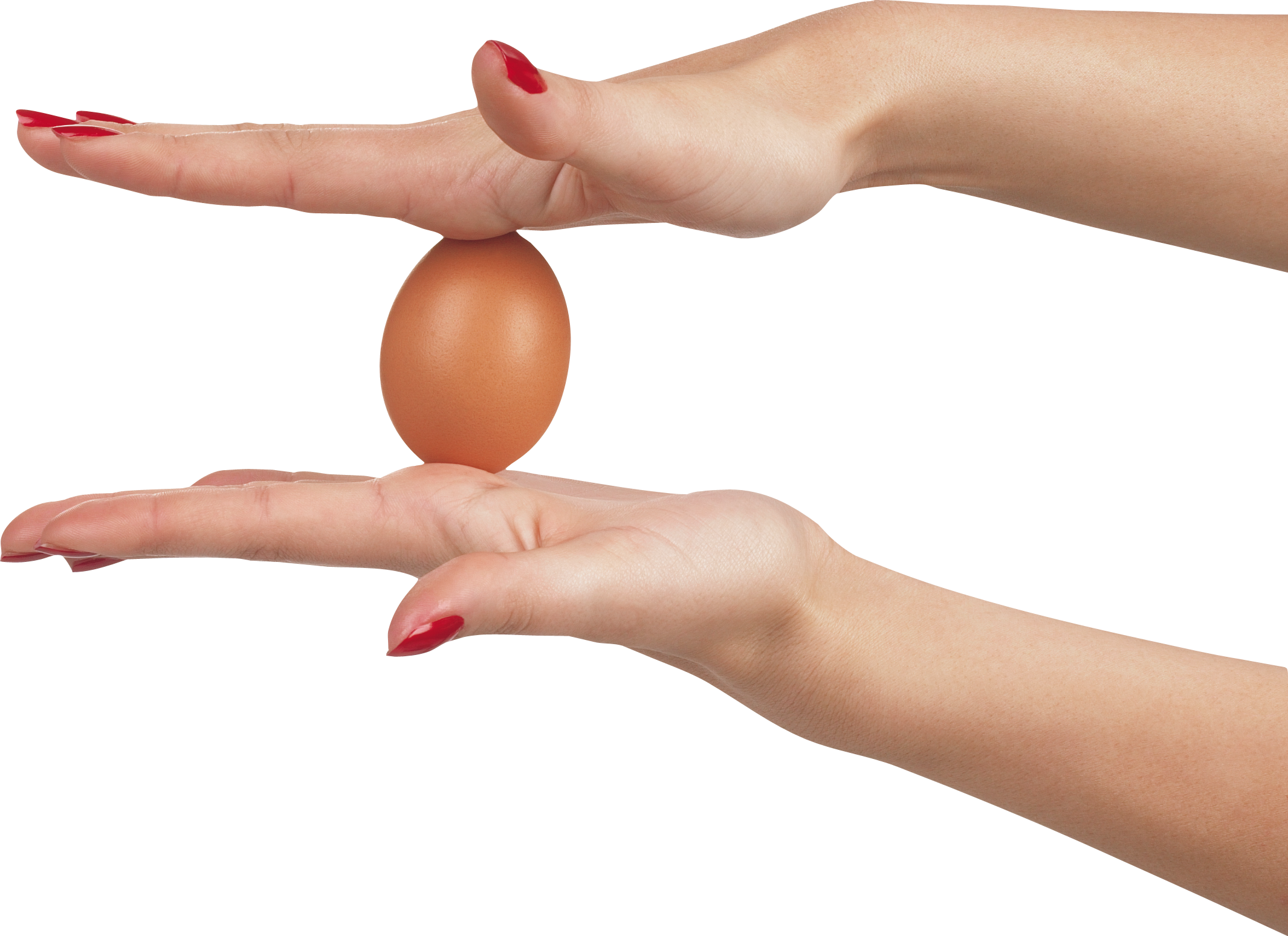 Cigarette clipart hand holding. Two egg isolated stock