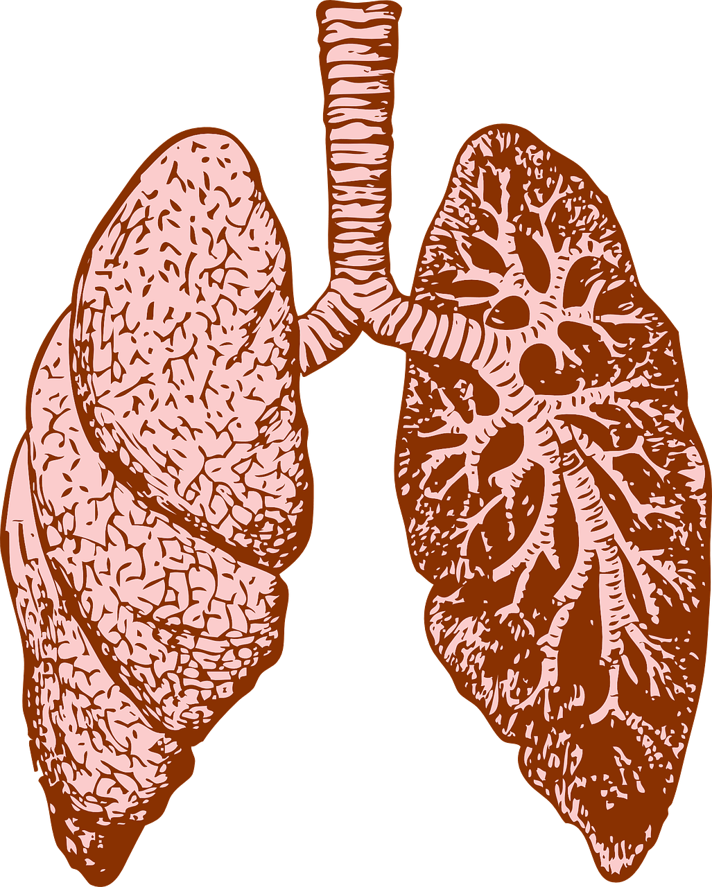 lungs clipart lung damage