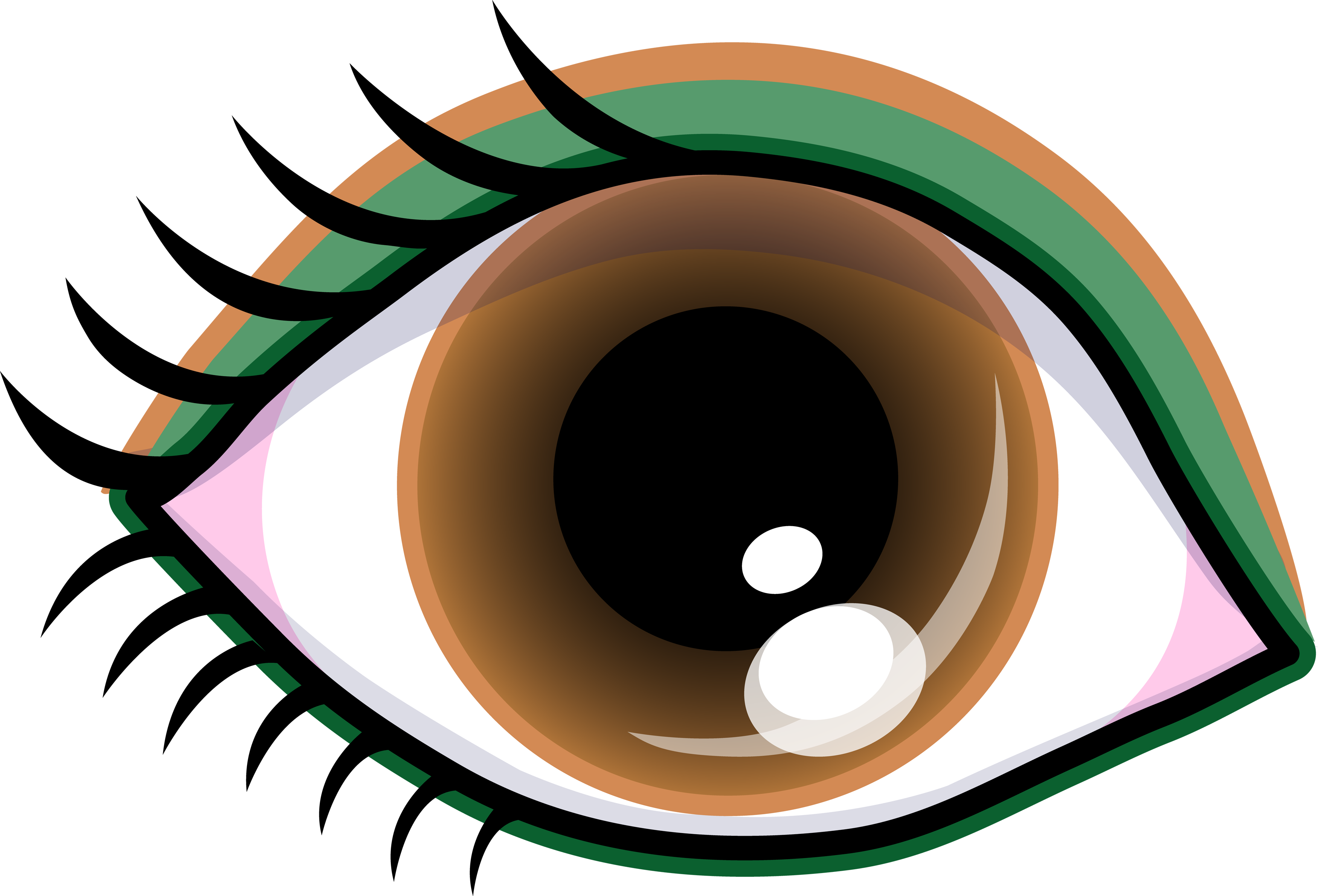 Eyeballs clipart eyeball line. Brown eye clip art