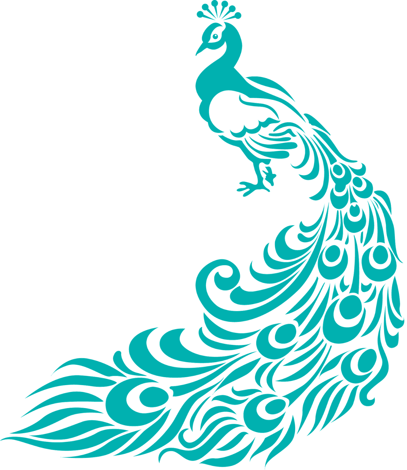 Circle clipart feather. Peacock coloring page panda