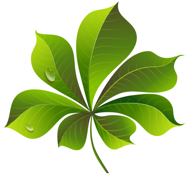 Clipart leaves flower. Pin by dara tata