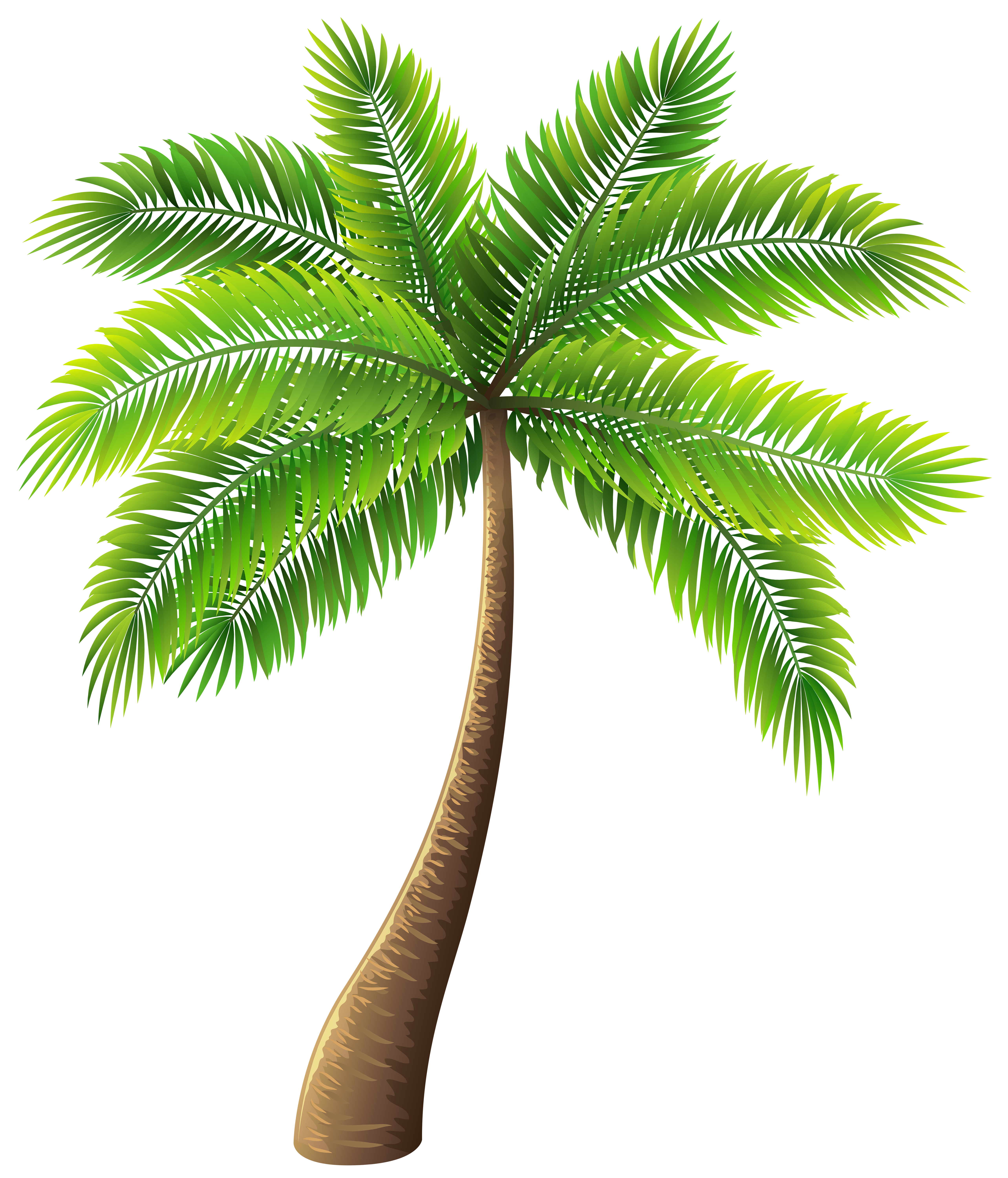 Island clipart splendor. Palm tree clip art