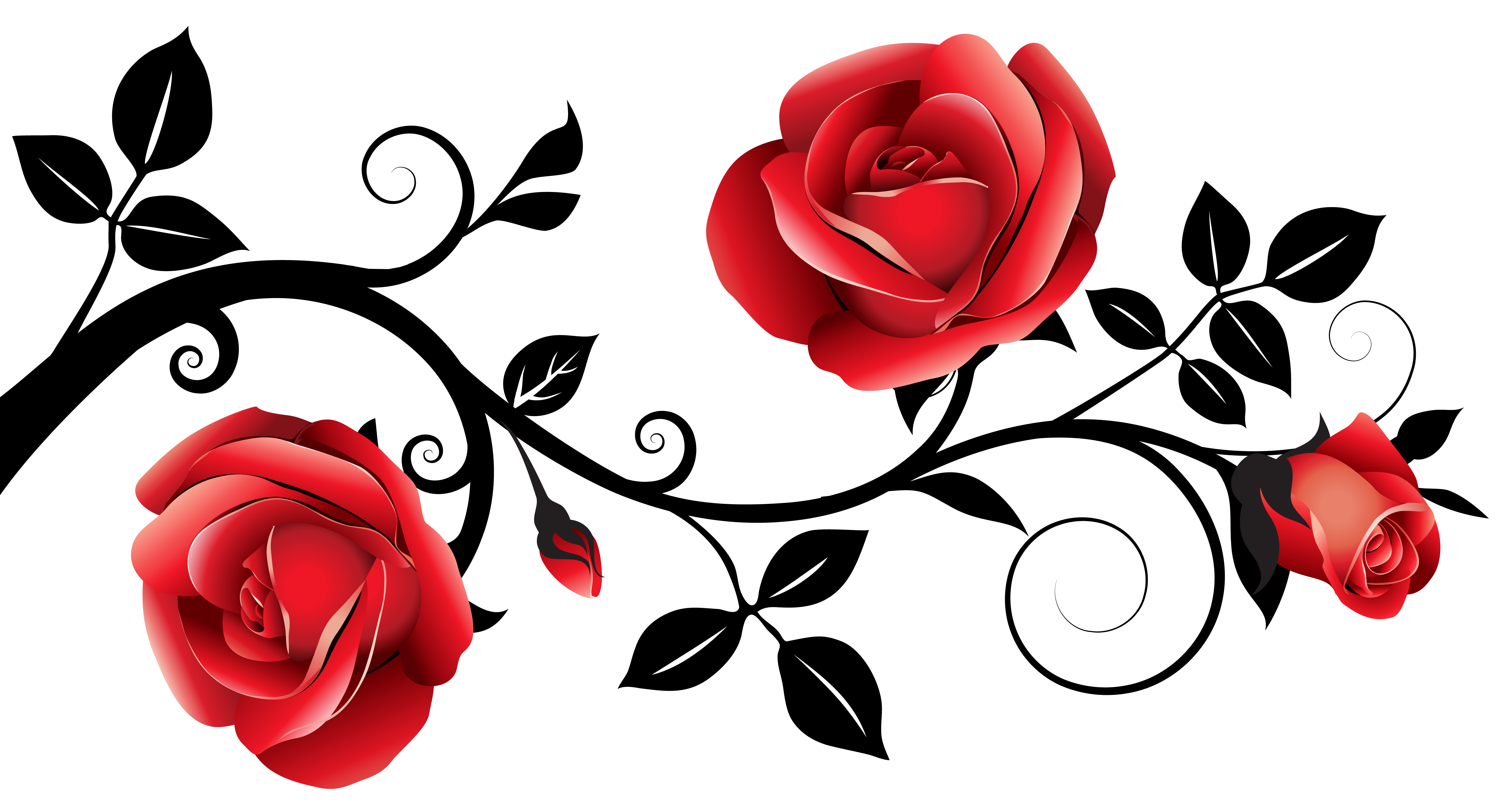 Clipart rose easy. Red and black decorative