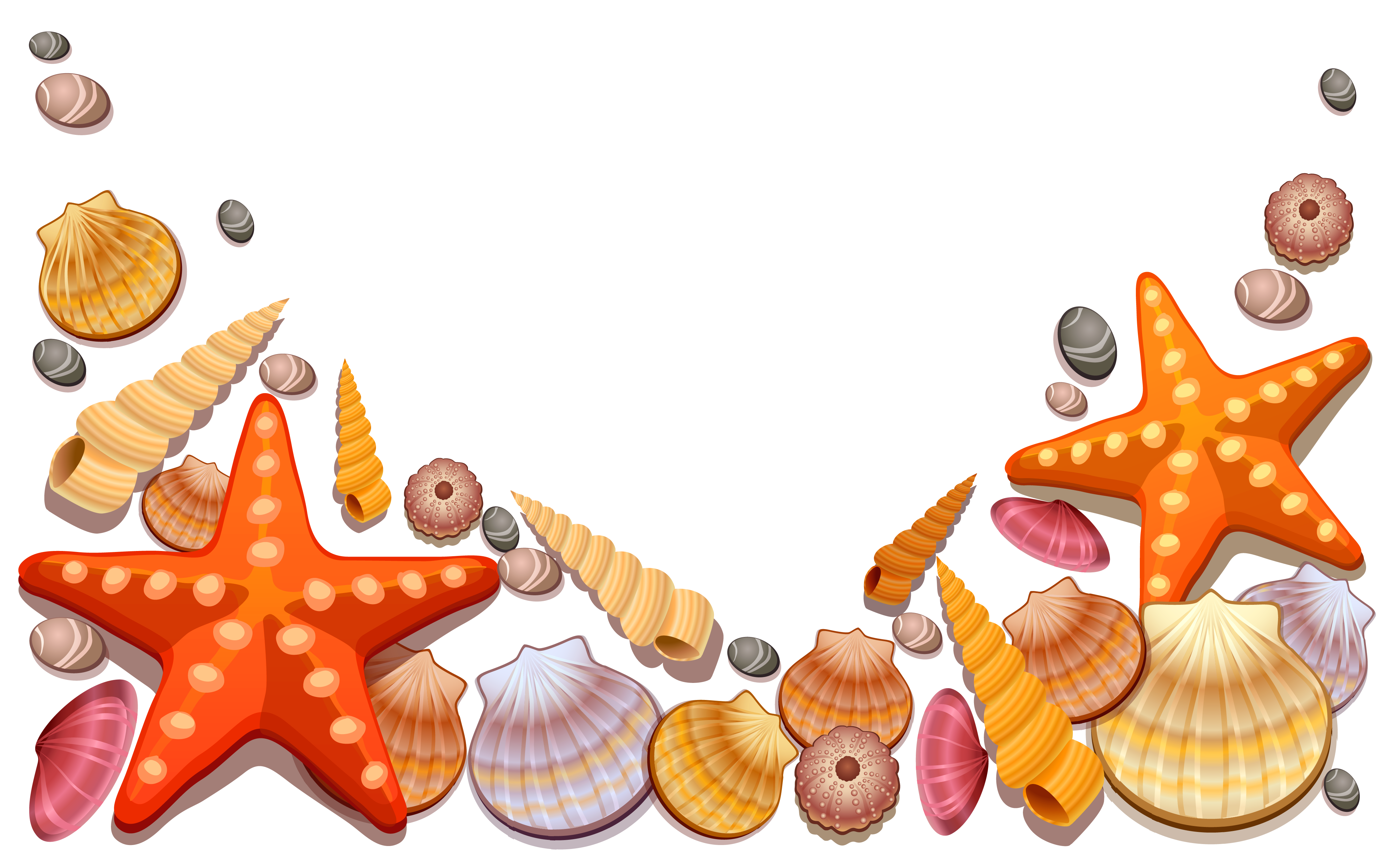Sea shells at getdrawings. Shell clipart red clipart