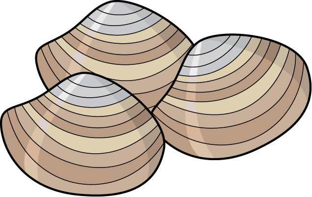 oyster clipart clamshell
