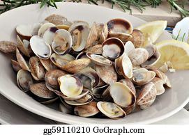 clam clipart aoyagi