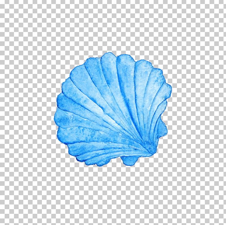 clam clipart blue seashell