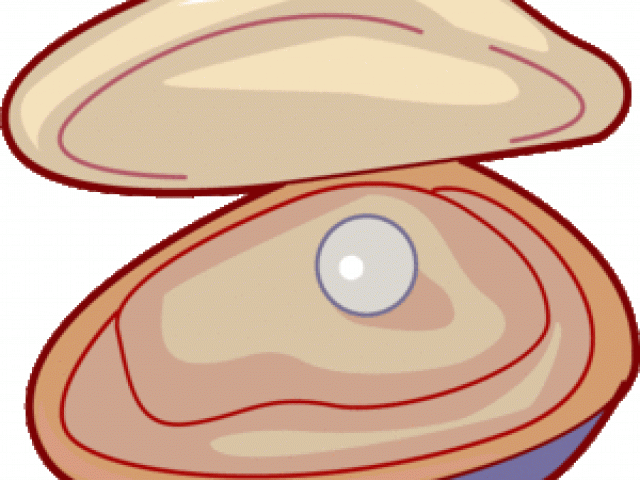 clam clipart chlamydia