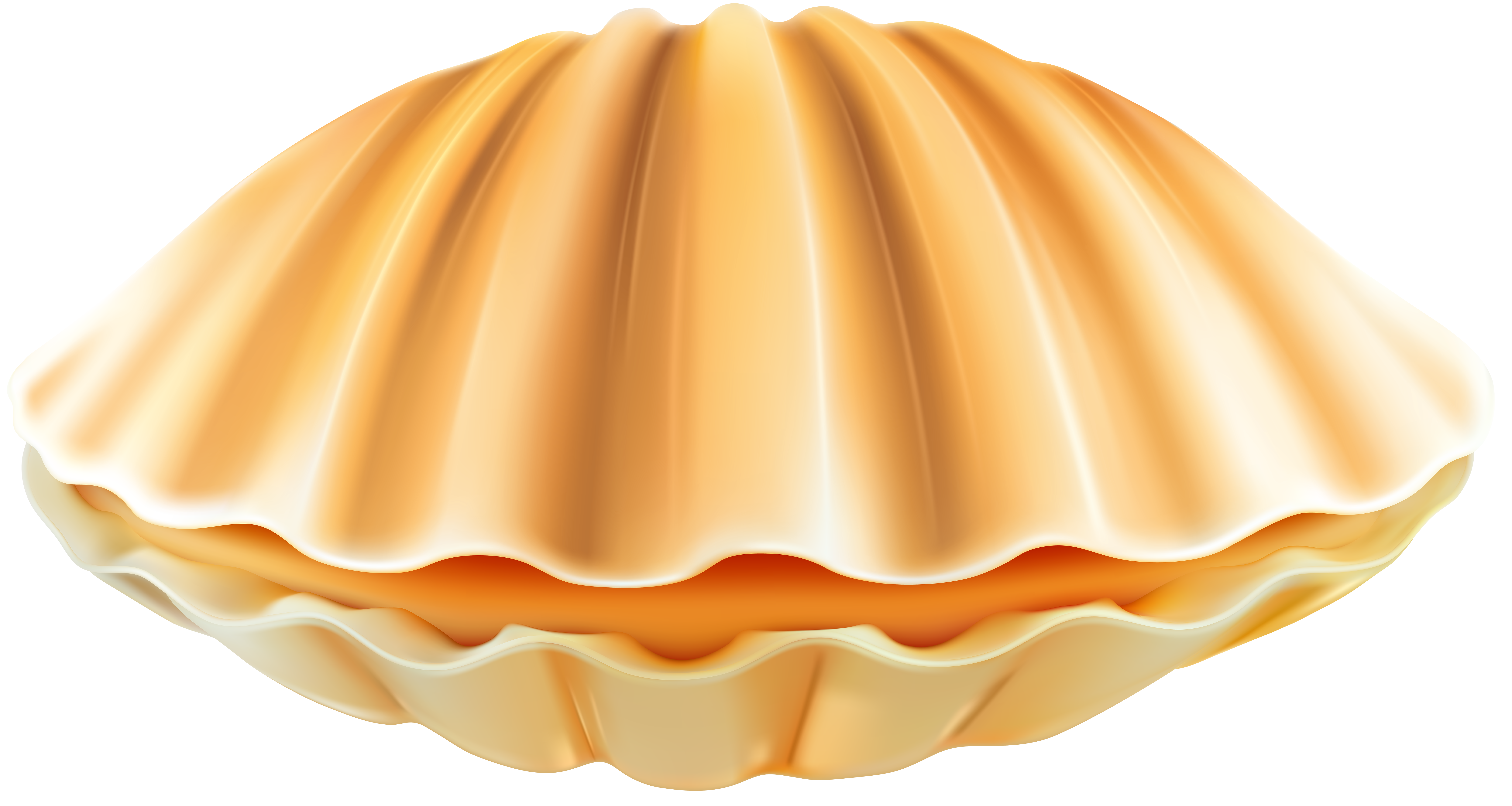 clam clipart closed