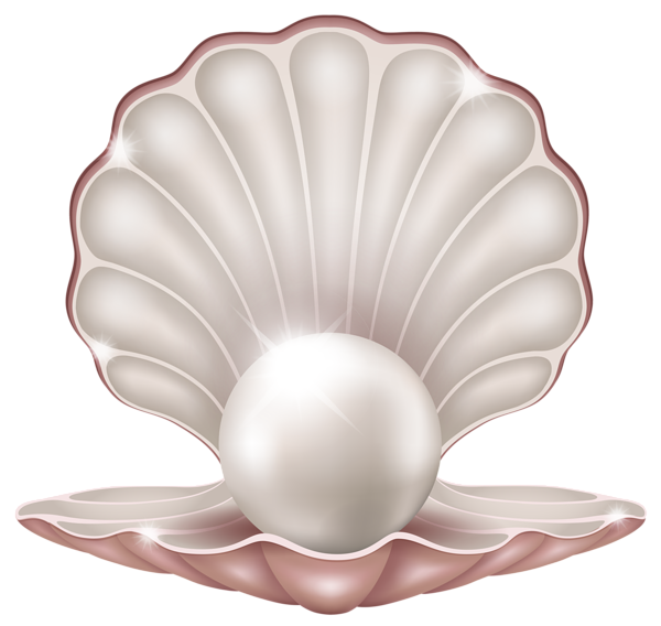 shell clipart pearl clipart