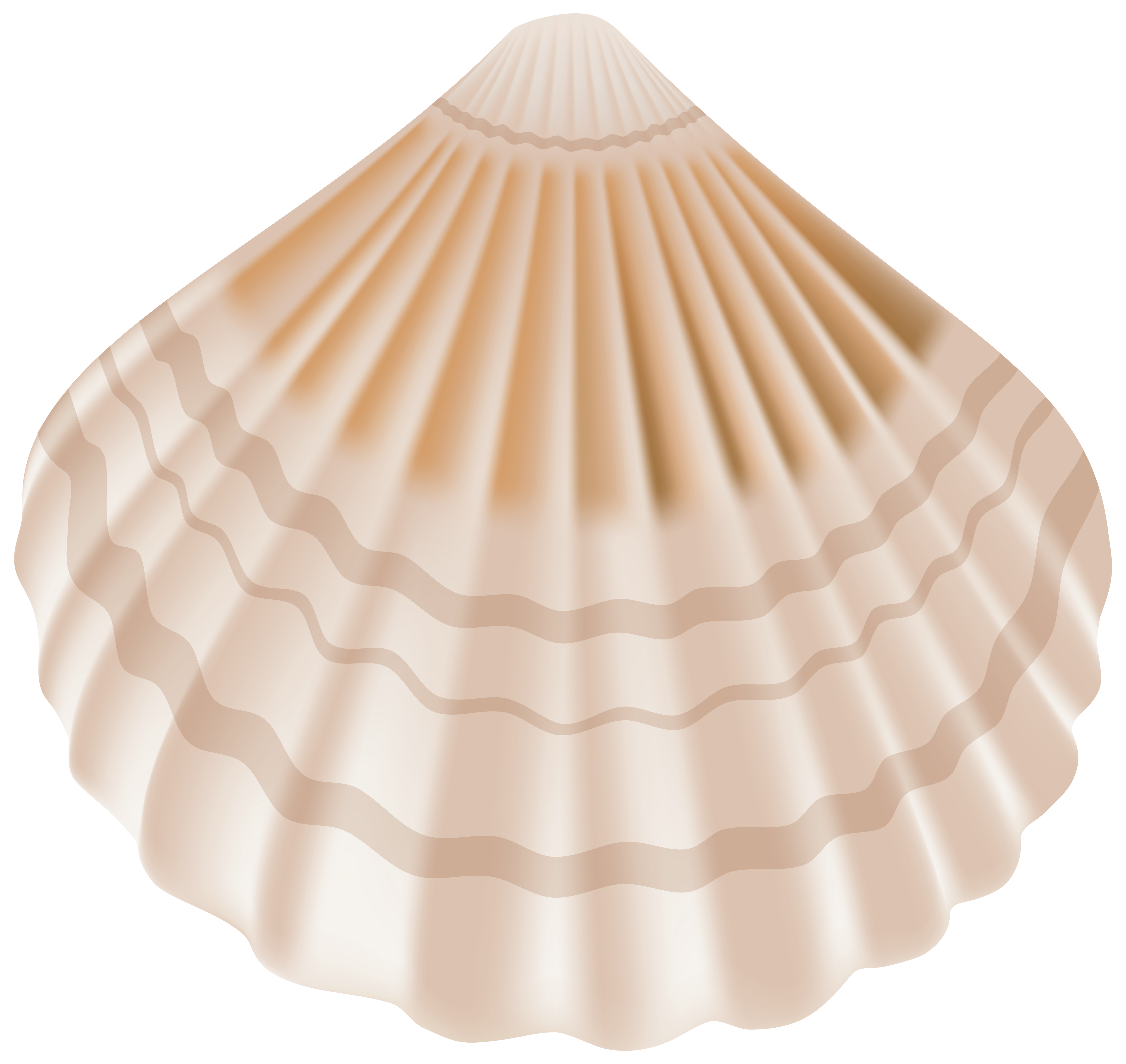 seashells clipart blue seashell