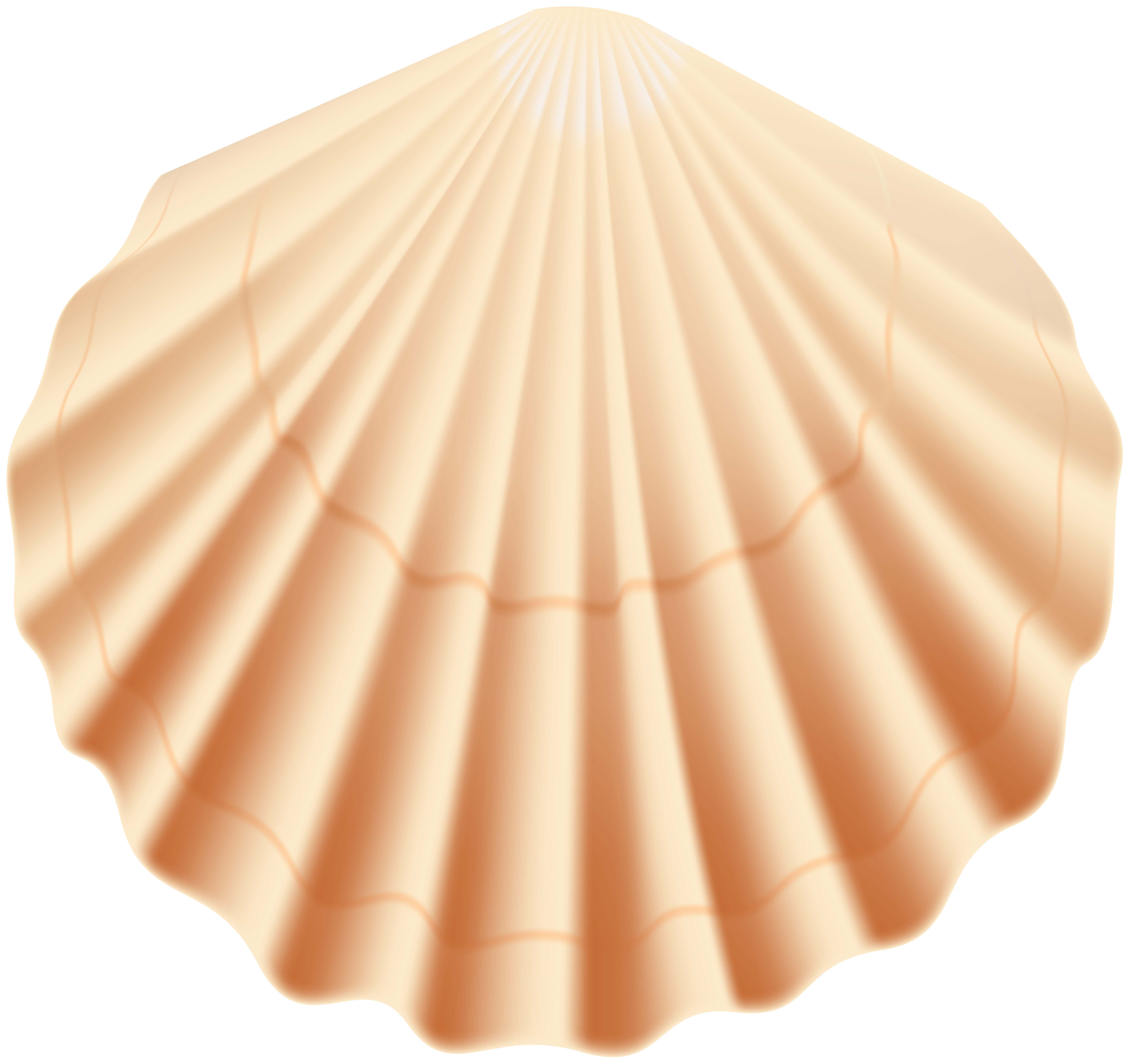 seashells clipart yellow