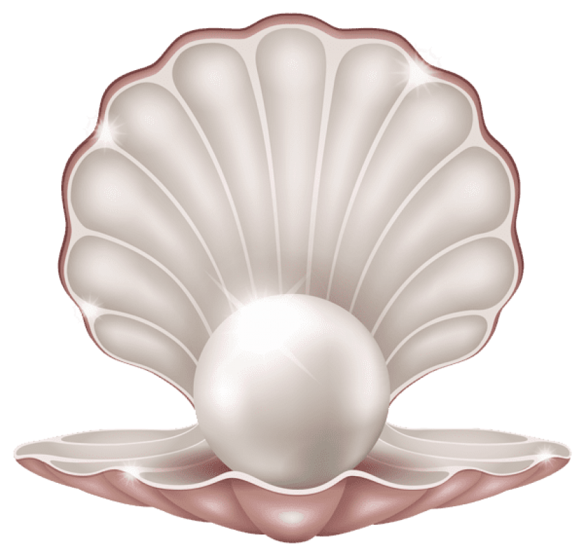 Pearl clipart clam. Beautiful with png free