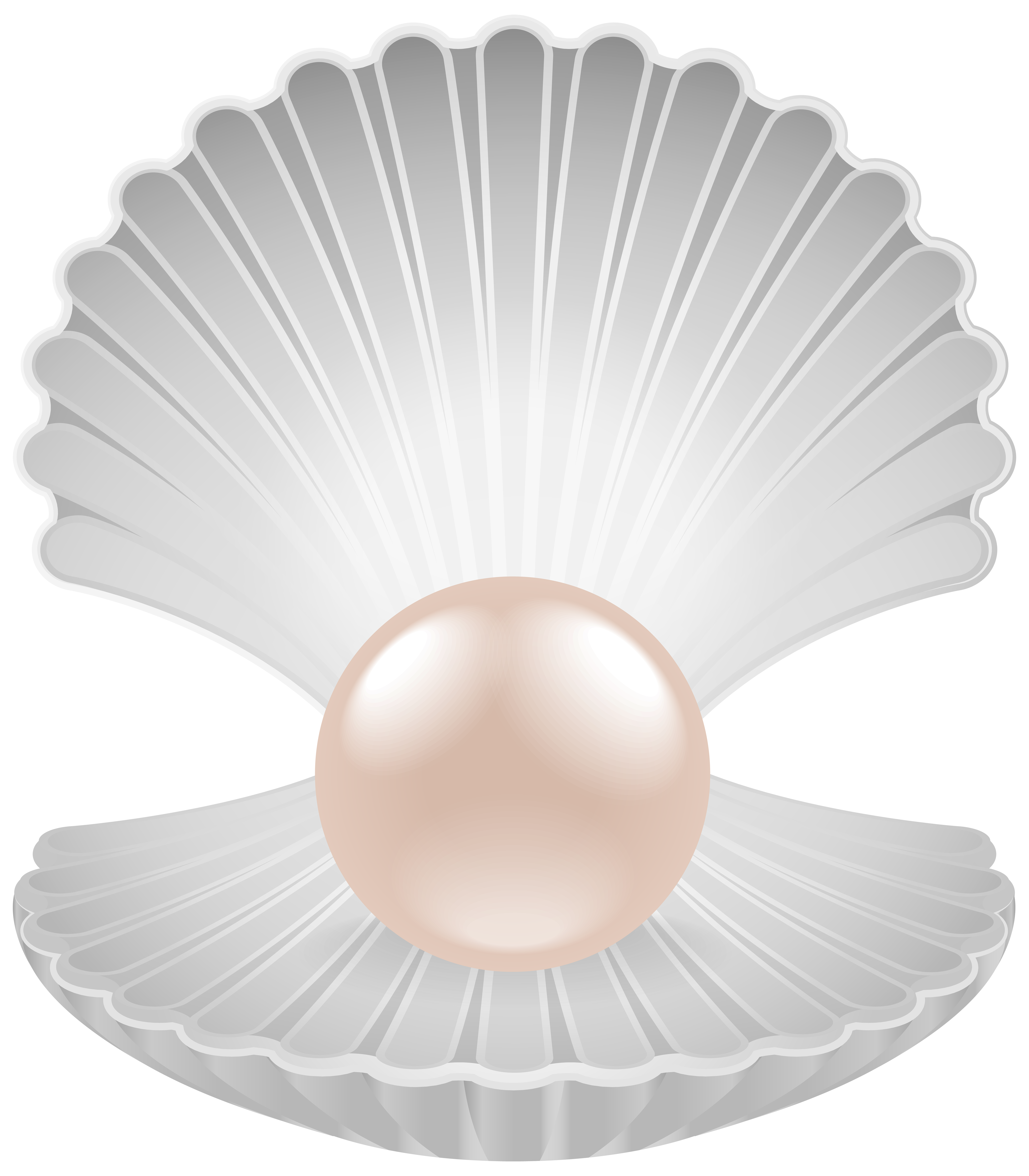 Pearl clipart clam. With transparent png clip
