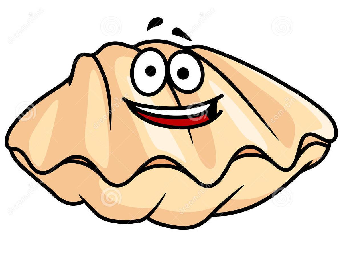 oyster clipart mollusk