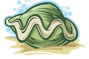 Clam clipart giant clam. Portal 