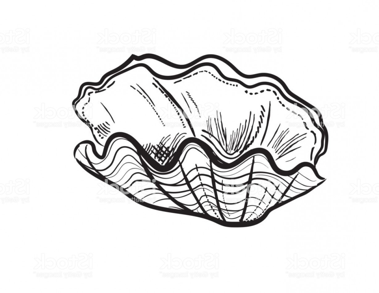 clam clipart giant clam