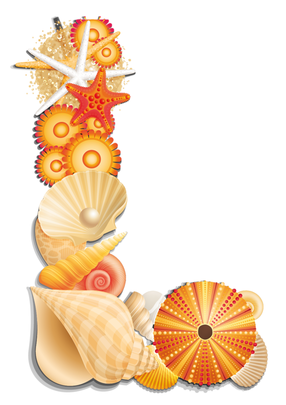 clam clipart limpet