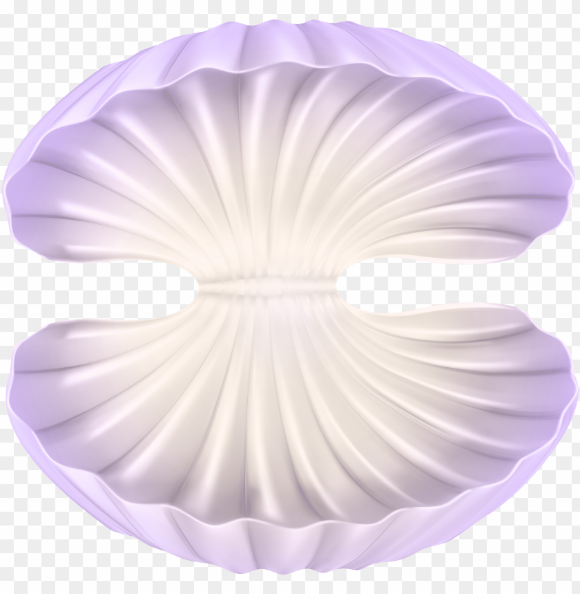 clam clipart open