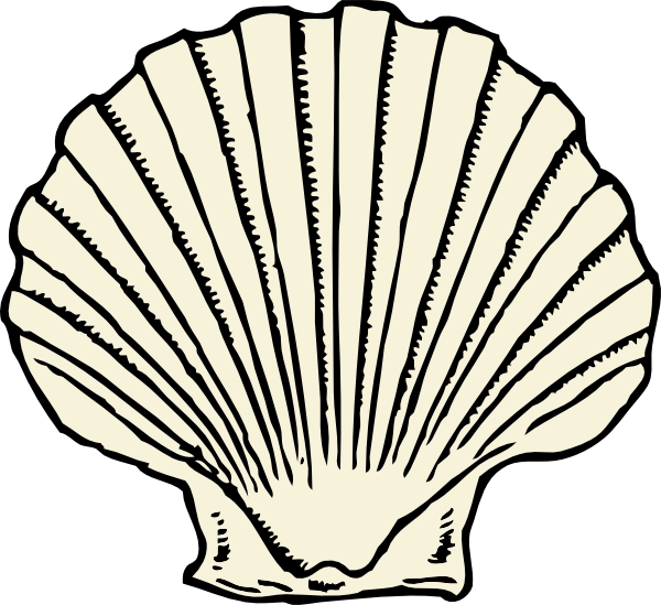 Free clipart seashell. Scallop shell outline no