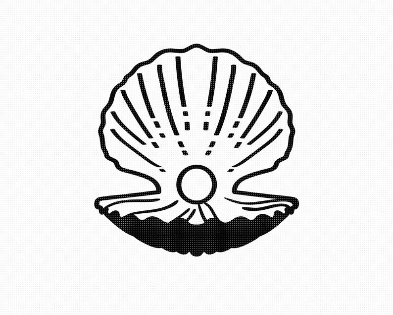 clam clipart pearl illustration