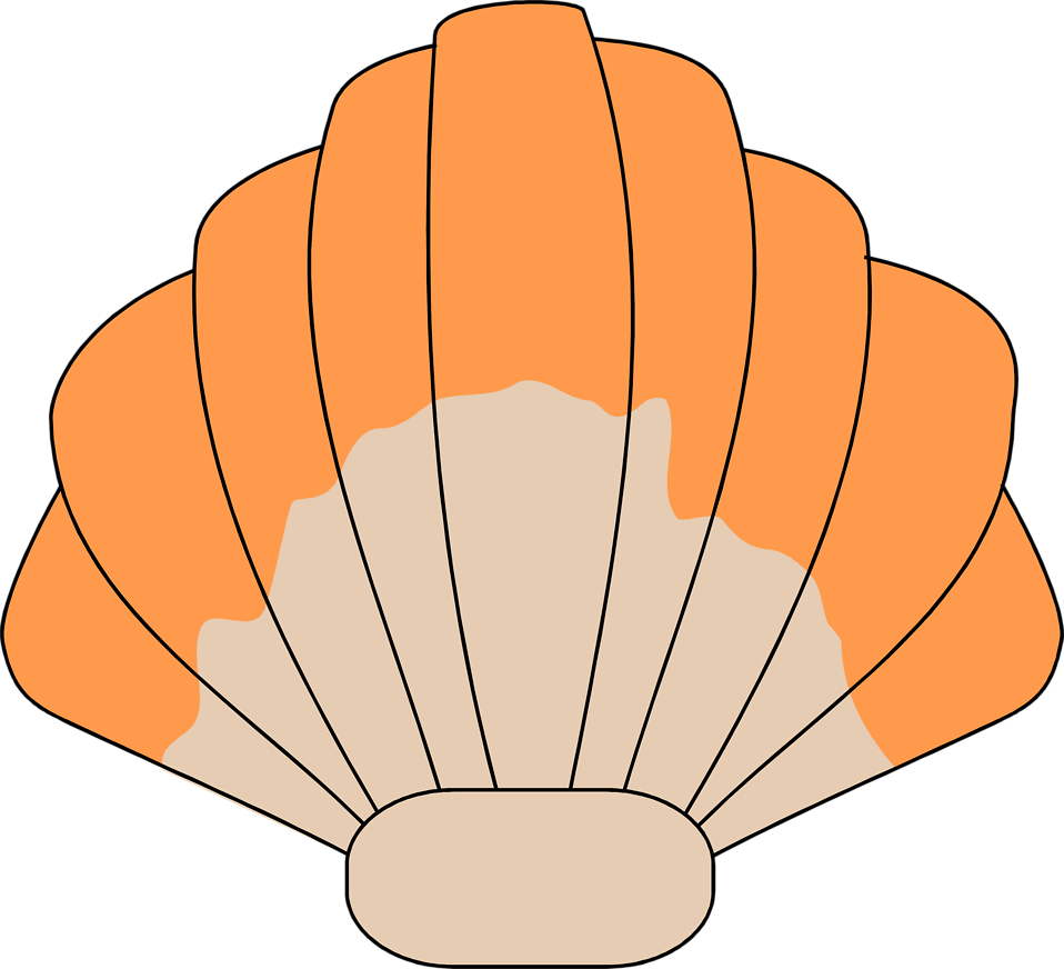 shell clipart illustration