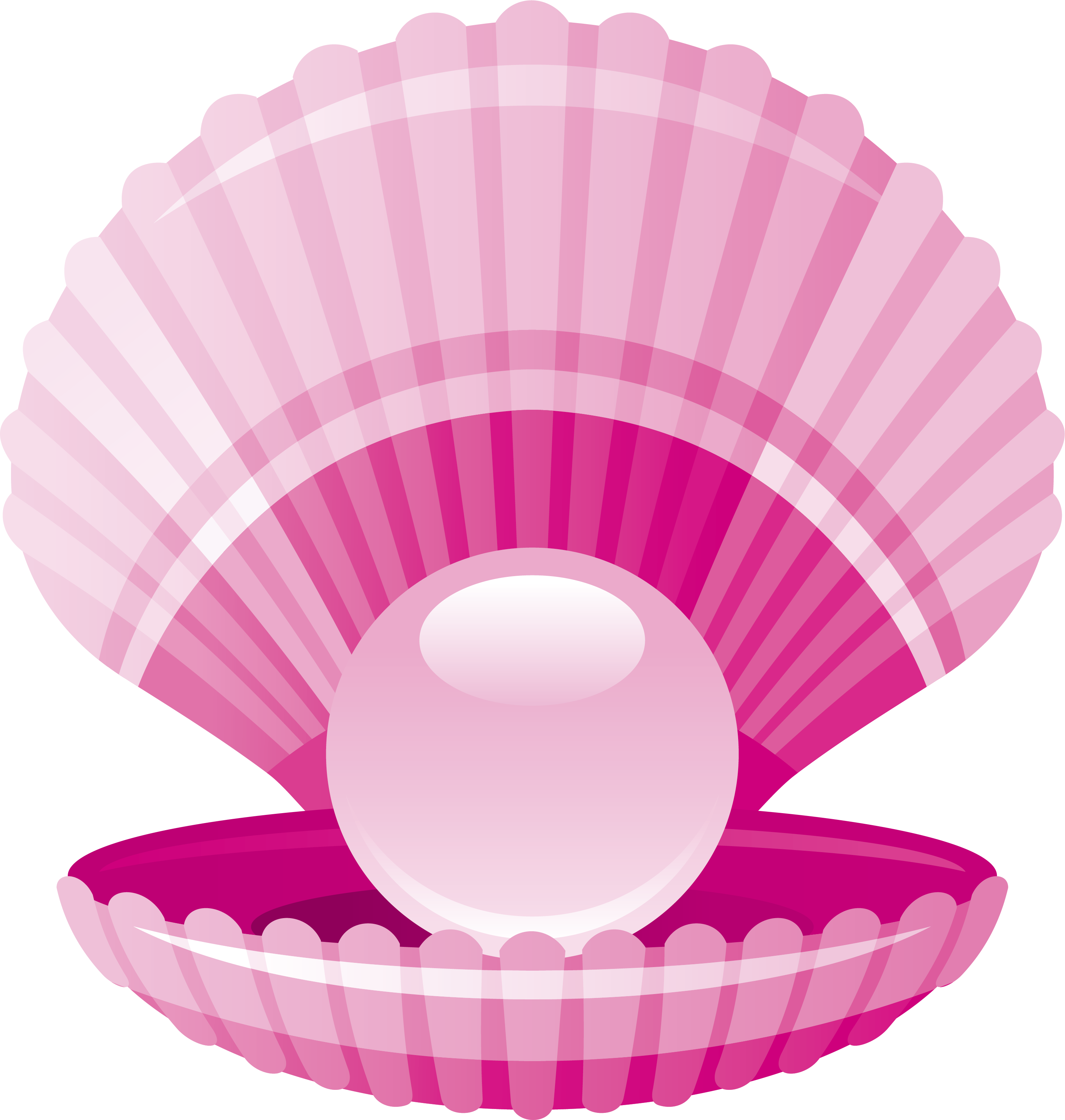 Seashell pink fresh shell. Pearl clipart clam