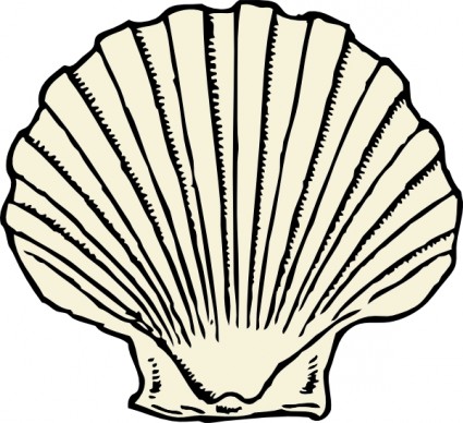 clam clipart scallop